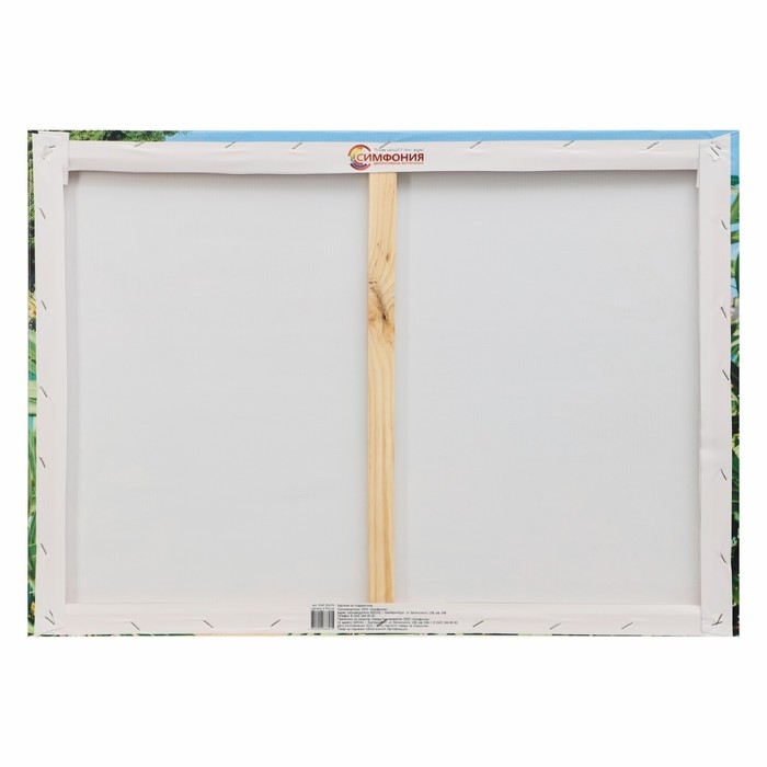 Картина на подрамнике Картина на подрамнике "Райское место" 50х70 см