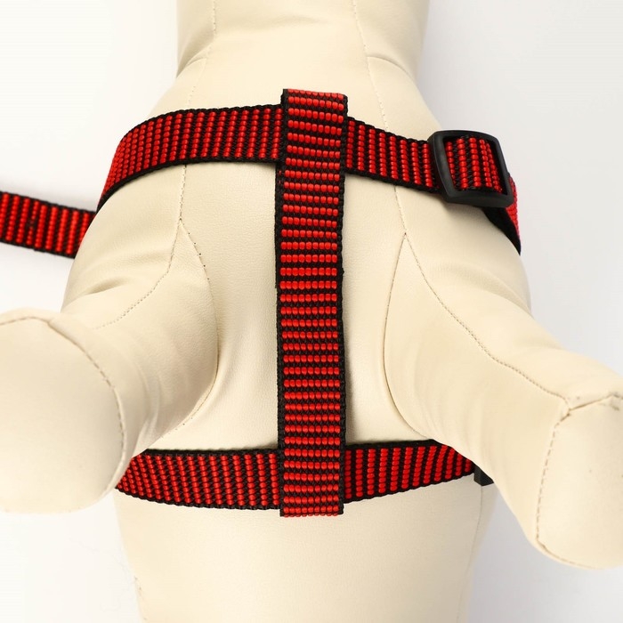 Комплект амуниции рельефный, поводок 120 х 2 см, ОГ 44-50 см, красно-чёрный Комплект амуниции рельефный, поводок 120 х 2 см, ОГ 44-50 см, красно-чёрный