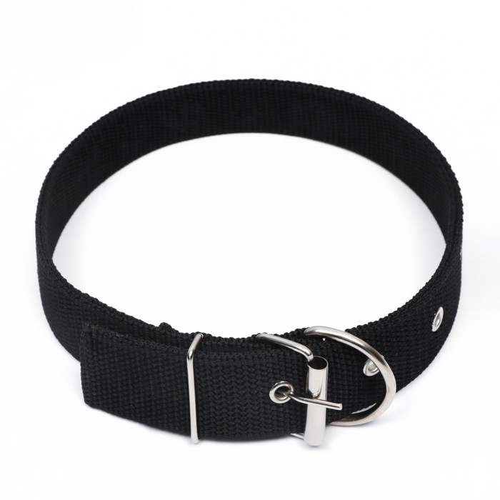 Ошейник клепаный, 48,5 х 3 см, ОШ 31-40 см, полиэстер, чёрный Ошейник клепаный, 48,5 х 3 см, ОШ 31-40 см, полиэстер, чёрный