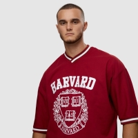 Футболка мужская HARVARD, цвет бордо, размер ONE SIZE