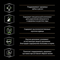 Сухой корм PRO PLAN для щенков мелких пород, курица/рис, 700 г