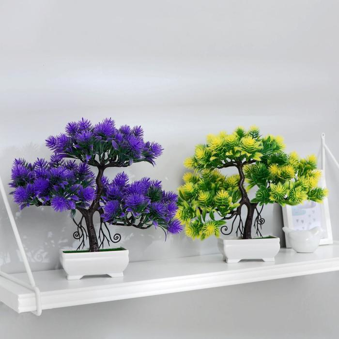 Бонсай в горшке Бонсай в горшке "Мелкие пушистики" 26х24 см, микс