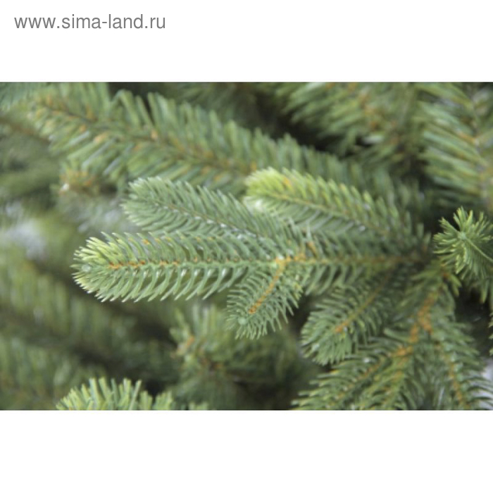 Ель искусственная Изумрудная 120 см, d нижнего яруса 80 см Ель искусственная Изумрудная 120 см, d нижнего яруса 80 см