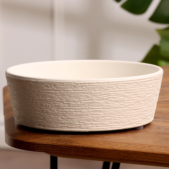 Кашпо Гнездо белое кактусница, 1 л, d - 19 см Кашпо Гнездо белое кактусница, 1 л, d - 19 см