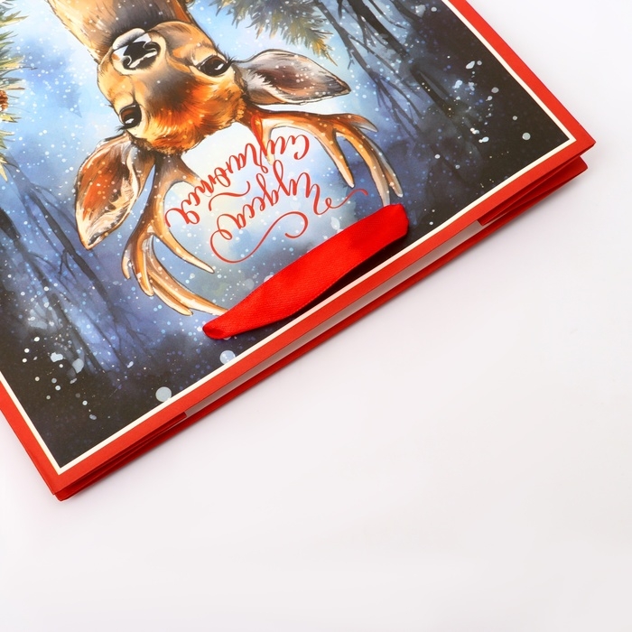 Новый год. Пакет подарочный новогодний бумажный,  Новый год. Пакет подарочный новогодний бумажный, "Чудеса случаются", 24 х 20 х 11 см.