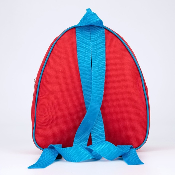 Рюкзак детский для мальчика «Тигрята», 23х20,5 см, отдел на молнии