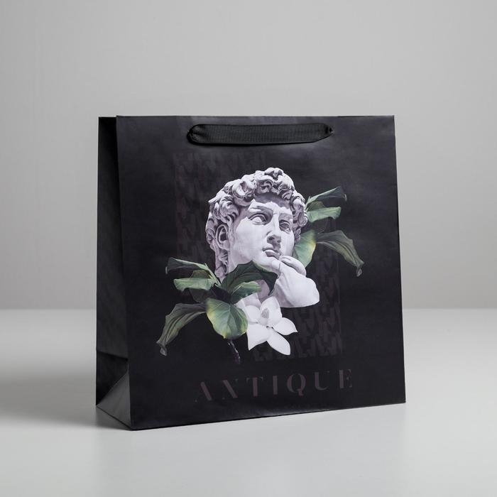 Пакет подарочный ламинированный квадратный, упаковка, «Antique», 30 х 30 х 12 см Пакет подарочный ламинированный квадратный, упаковка, «Antique», 30 х 30 х 12 см