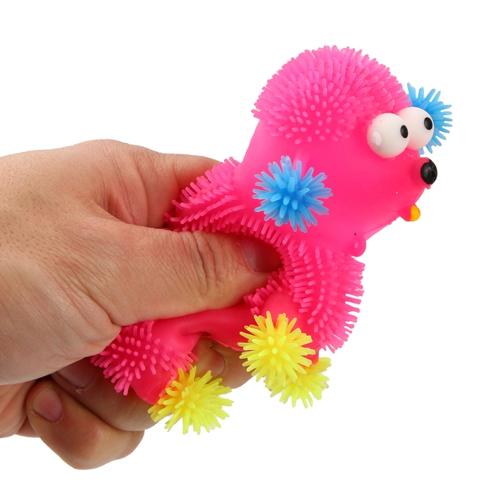 Мяч детский резиновый ёжка световой «Пудель», цвета МИКС , в шоубоксе Мяч детский резиновый ёжка световой «Пудель», цвета МИКС , в шоубоксе