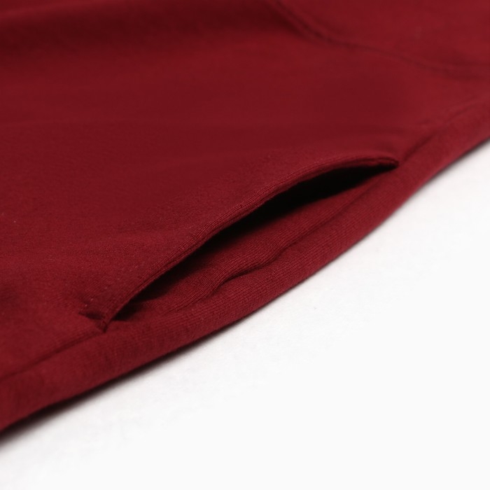 Толстовка мужская, цвет бордовый, размер 54 (2XL)