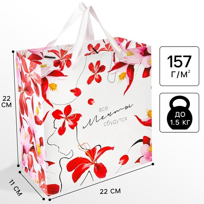 Пакет подарочный "Мечты сбудутся" 22х22х11 см, упаковка, Принцессы