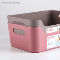 Корзина для хранения Scandi, 3,1 л, 24×17×9 см, цвет МИКС