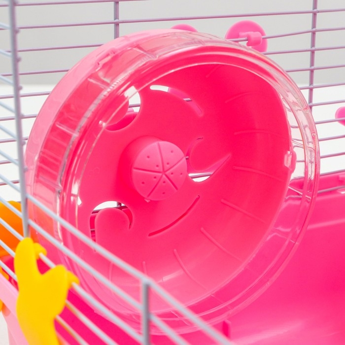 Клетка для грызунов Клетка для грызунов "Пижон", 31 х 24 х 46 см, розовая