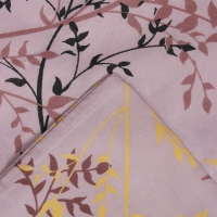 Постельное бельё Экономь и Я 2 сп Soft 175*215см,180*215см,50*70см-2 шт, полисатин, 80 г/м²