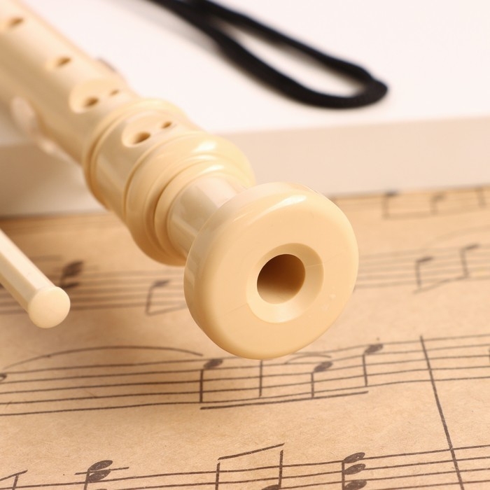 Блокфлейта Music Life, 8 отверстий, белый чехол, шомпол, 30 см Блокфлейта Music Life, 8 отверстий, белый чехол, шомпол, 30 см