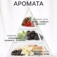 Диффузор ароматический с палочками Hygge Home Ежевика, Смородина, Базилик, 50 мл