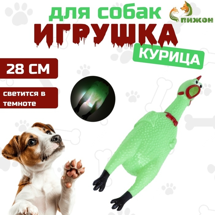 Игрушка пищащая Игрушка пищащая "Курица светящаяся" для собак, 28 см, зелёная