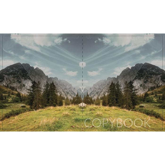 Тетрадь 96 листов в клетку Calligrata "Прекрасная пора", обложка мелованный картон, блок офсет, МИКС