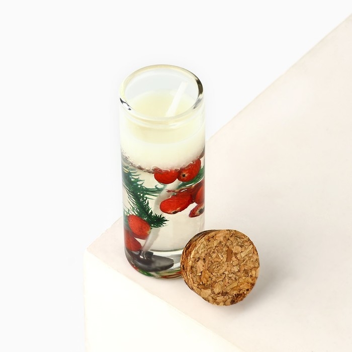 Новогодняя свеча в колбе «Новый год:Счастья и любви» Новогодняя свеча в колбе «Новый год:Счастья и любви»