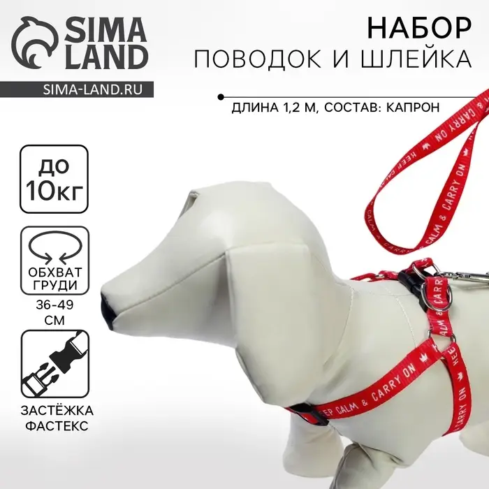 Поводок Keep calm & carry on 120&times;1.5 см, шлейка 36-49 см