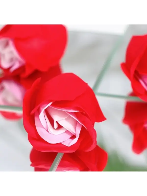 Мыльные розочки, трёхцветные, набор 6 шт., в коробке