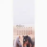 Календарь 2026 отрывной на магните &laquo;Лошадка счастье принесёт!&raquo; 9.5&times;13 см