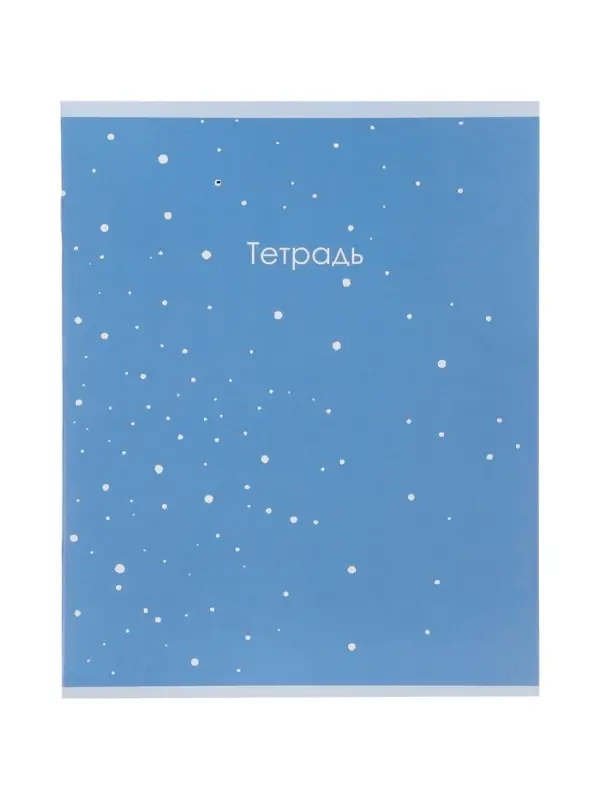 Набор тетрадей из 10 штук, 12 листов в косую линейку Calligrata &laquo;Монохром&raquo;, блок №2, 5 видов