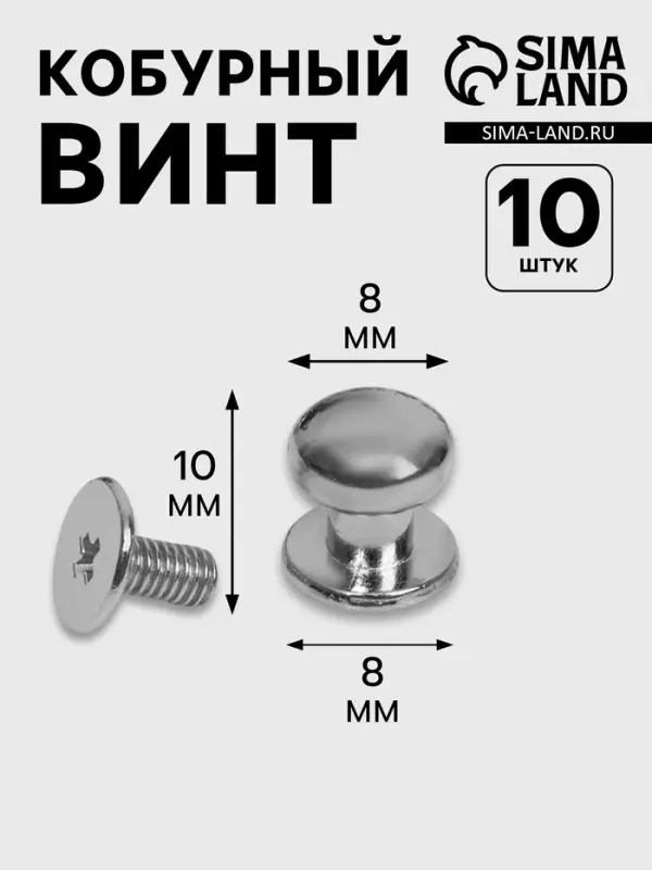 Кобурный винт d=8/8&times;10 мм, 10 шт., цвет серебряный