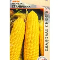 Семена Кукуруза "Станичник" 2 г Семена Кукуруза "Станичник" 2 г