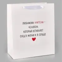 Пакеты подарочные &laquo;Любимому учителю&raquo;, набор 3 шт., ML 23&times;27&times;11.5 см