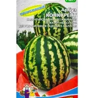 Семена Арбуз Конкурент (УД) Е/П , Е/П,  10 шт.