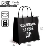 Пакет подарочный, упаковка, &laquo;Всем плевать на твой др&raquo;, 22&times;22&times;11 см