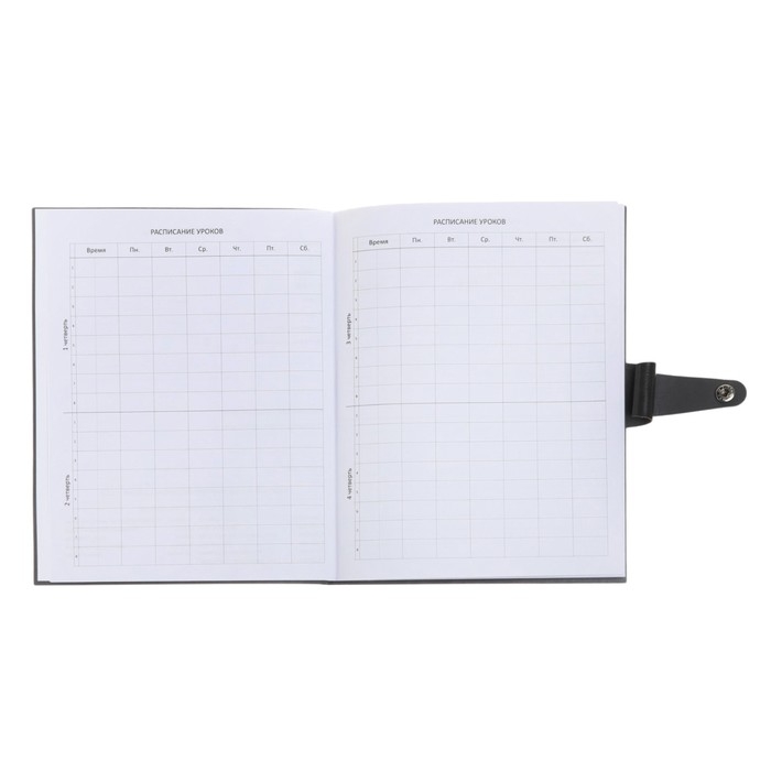 Дневник универсальный для 1-11 классов Favorite, интегральная обложка из искусственной кожи на кнопке, тиснение фольгой, ляссе, 48 листов