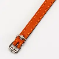 Ошейник кожаный однослойный  на  фетре неукрашенный, 1,2 см, ОШ 20-26 см,