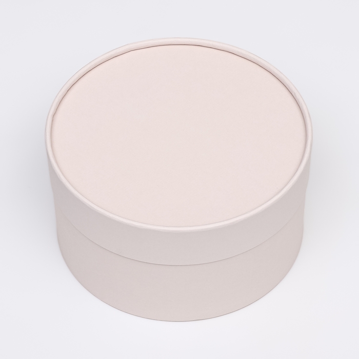 Подарочная коробка Подарочная коробка "Wewak" пудра, завальцованная без окна, 18 х 10 см