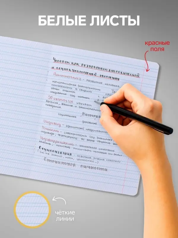 Комплект тетрадей из 10 штук, 12 листов в линию Calligrata "Тигрёнок", обложка мелованный картон, блок офсет, 5 видов по 2 штуки