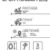 Семена цветов Пентас "Лаки стар" F1 Дак ред ланцетовидный, ц/п, 3 шт.