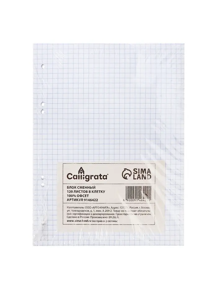 Сменный блок для тетрадей на кольцах А5, 120 листов, в клетку, Calligrata, блок офсет № 160 г/м&sup2;, белизна 100%