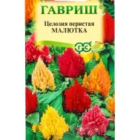 Семена цветов Целозия Малютка, перистая*, смесь 0,01 г