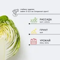 Семена Капуста брокколи &laquo;Тонус&raquo;, 0.1 г, раннеспелая, &laquo;Удачные семена&raquo;