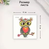 Переводная тату на тело цветная «Совушка на ветке с цветком», 6×6 см
