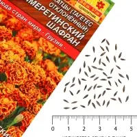 Семена Цветов Бархатцы &laquo;Имеретинский шафран&raquo;, отклоненные, ц/п, 0.2 г