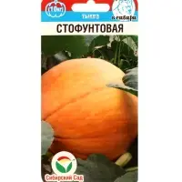 Семена Тыква &laquo;Стофунтовая&raquo;, 5 шт., &laquo;Сибирский сад&raquo;