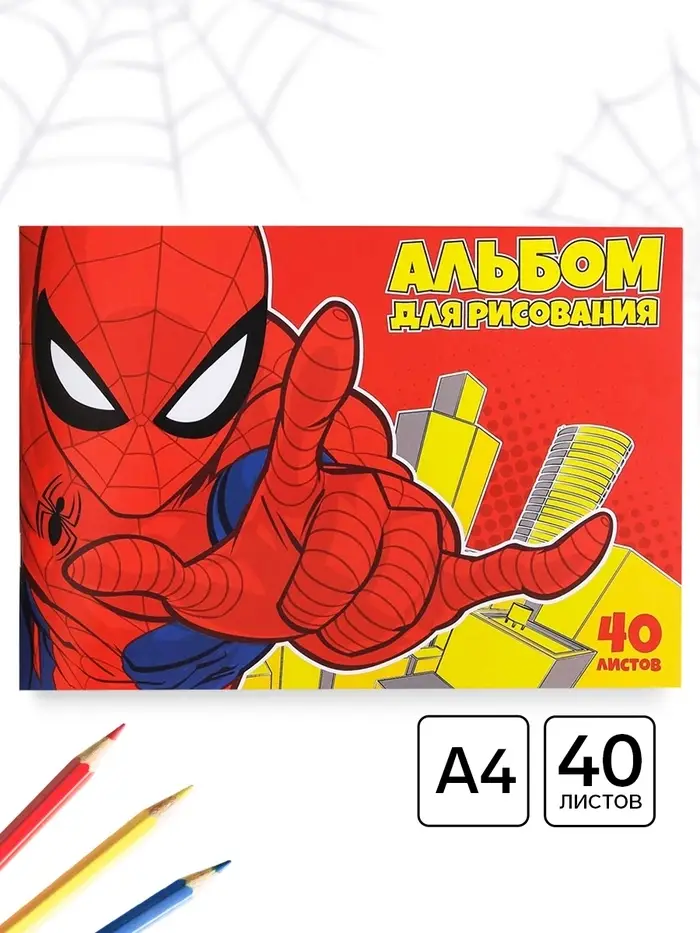 Альбом для рисования &laquo;Паутина&raquo;, А4, 40 листов 90 г/м&sup2;, на скрепке