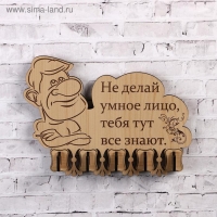 Ключница (5) "Не делай умное лицо…, 13,5х18 см