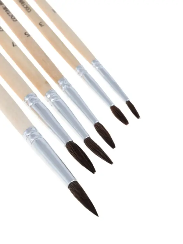 Набор кистей для рисования, белка, 6 штук: № 1, 3, 5, 7, 9, 11, круглые, деревянная ручка, международный размер