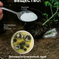 Средство от насекомых и вредителей &laquo;Метаризин&raquo;, 1000 г