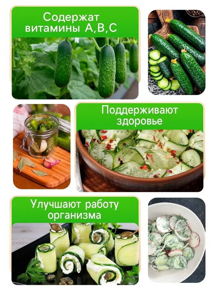 Семена огурца "Засолочное чудо", 20 шт.