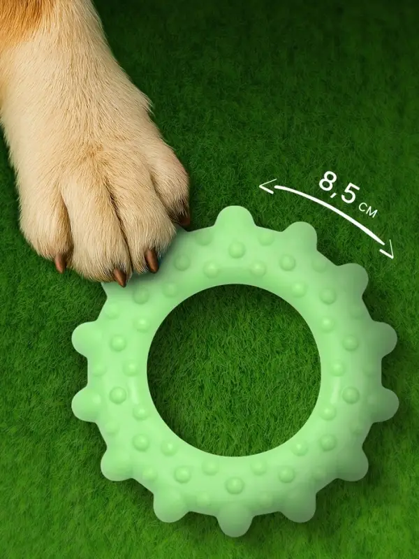 Жевательная игрушка для собак &laquo;Кольцо с шипами&raquo;, 8.5 см, TPR, зелёная