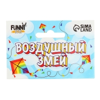 Воздушный змей «Бабочка», цвет голубой