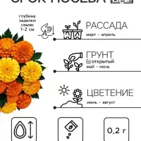 Семена цветов Бархатцы прямостоячие &laquo;Хлопушка&raquo;, 0.2 г, &laquo;Рецепты дедушки Никиты&raquo;